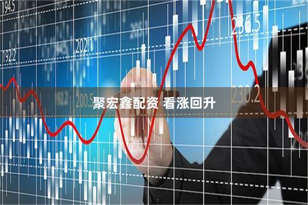 聚宏鑫配资 看涨回升