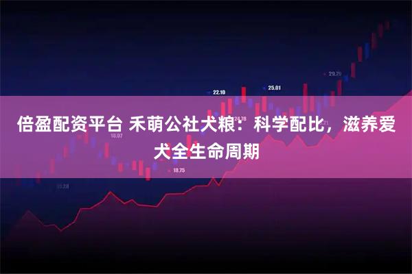 倍盈配资平台 禾萌公社犬粮：科学配比，滋养爱犬全生命周期